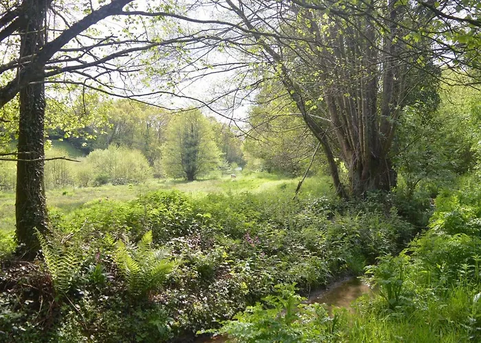 Qui Vivra Verra Отель типа 